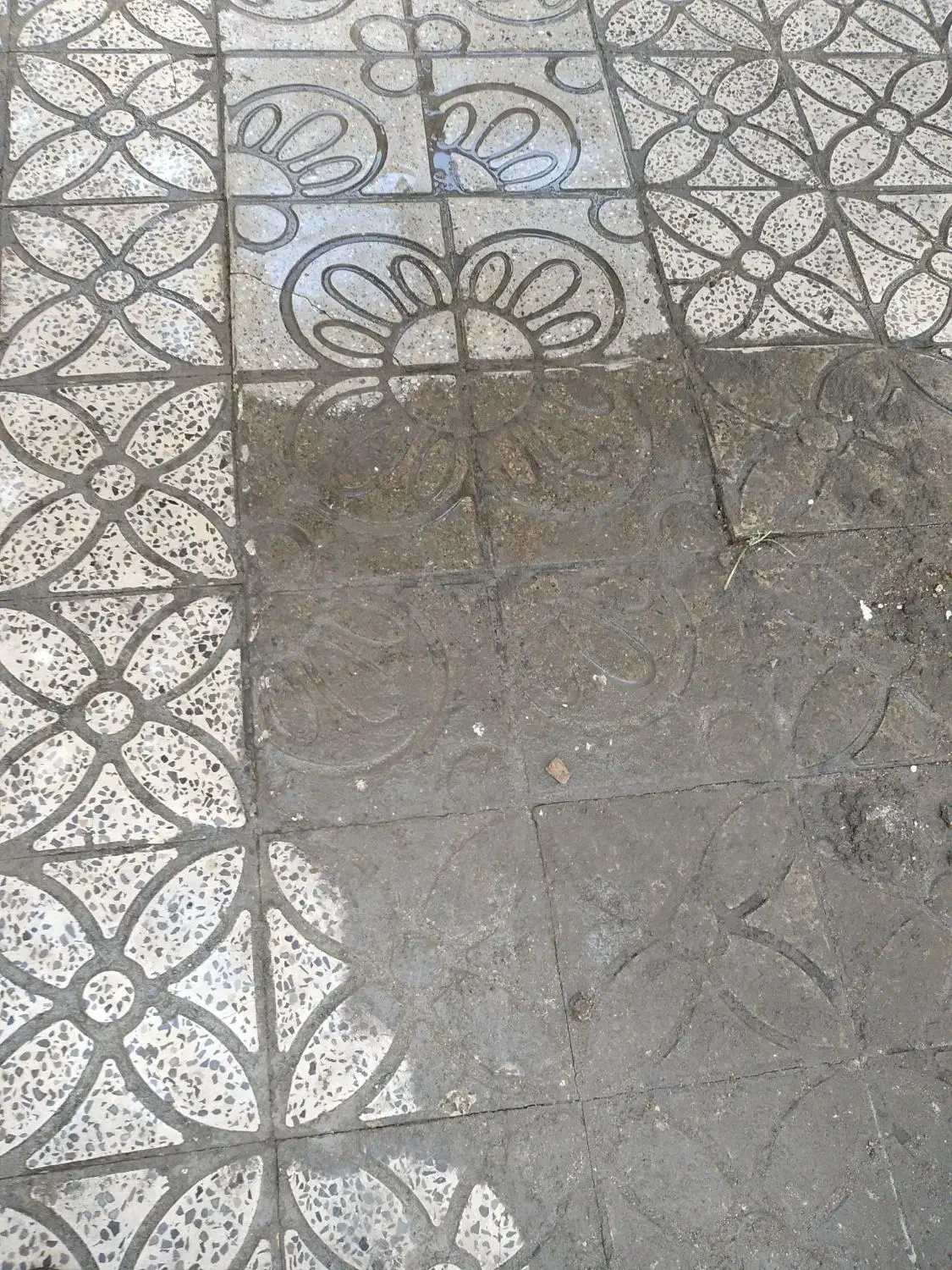 کفسابی سیار|خدمات نظافت|ایلام, |دیوار