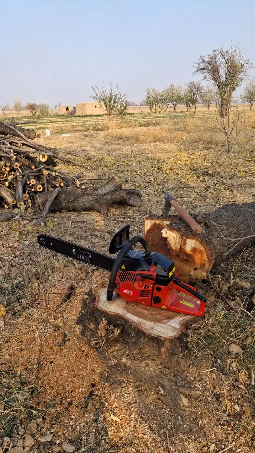 انواع خرید|خدمات باغبانی و درختکاری|مرند, |دیوار