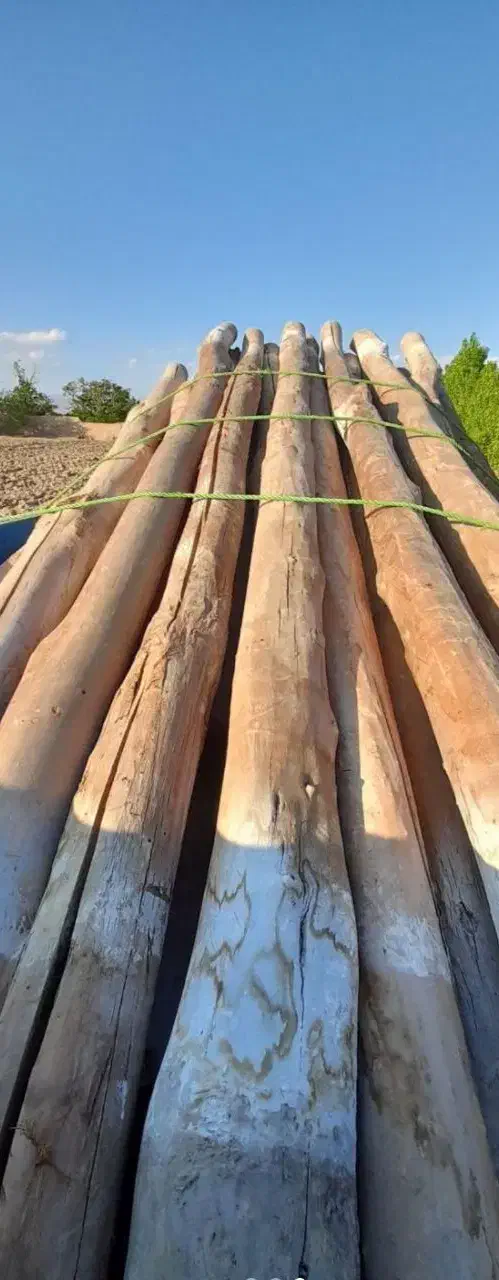 خرید انواع چوب باغی بع قیمت کارخانه.|خدمات باغبانی و درختکاری|چناران, |دیوار