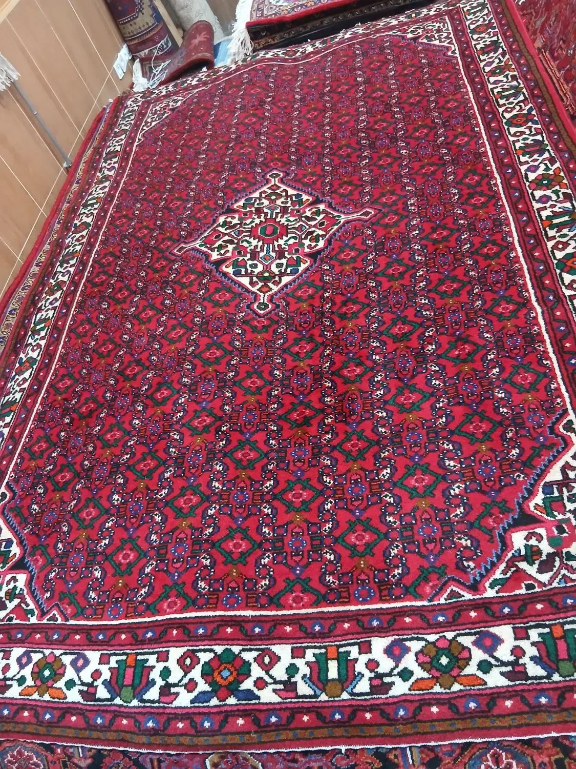 شش متری همدان در حد نو|فرش|میانه, |دیوار