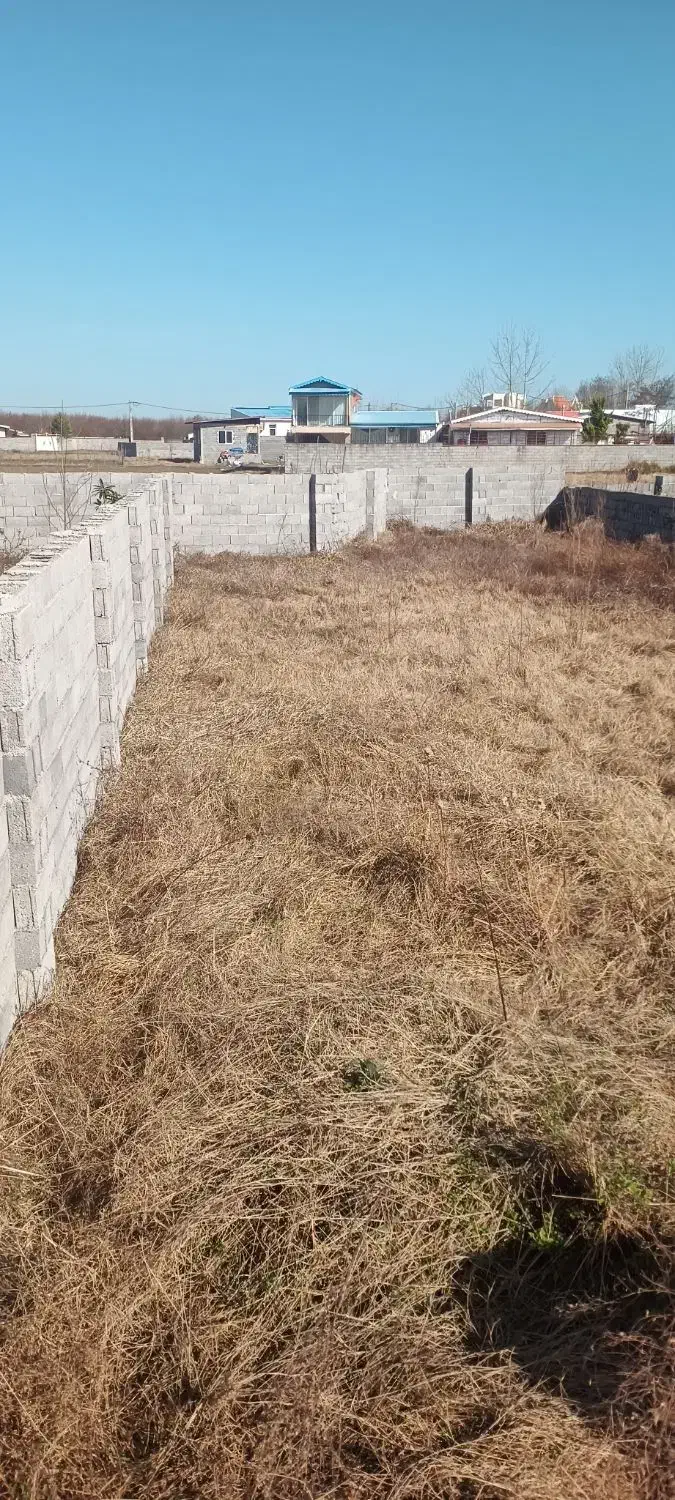 زمین|فروش زمین و ملک کلنگی|زیباکنار, |دیوار