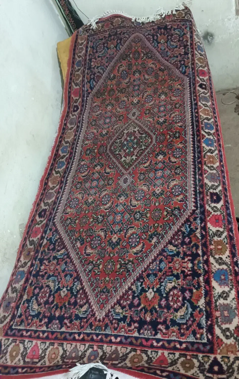 فرش دستبافت تبریز|فرش|نسیمشهر, |دیوار