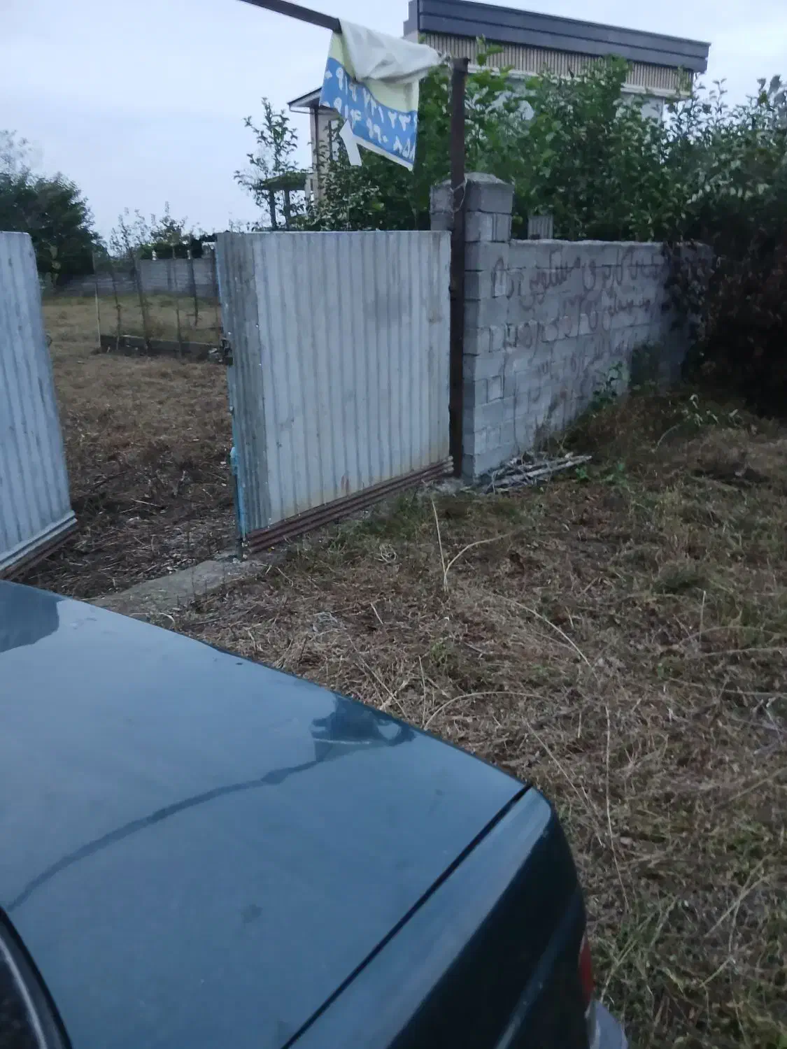 اجاره دادن ۸۰۰متر زمین شراکتی جهت کاشت باقیلا|اجارهٔ دفتر صنعتی، کشاورزی، تجاری|تالش, طولارود|دیوار