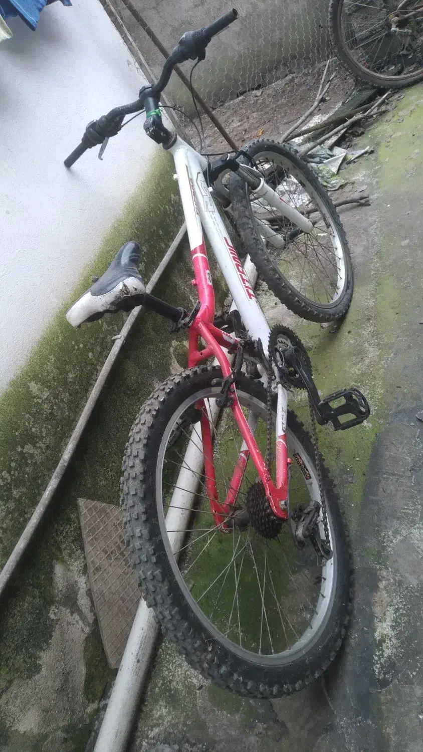 دوچرخه|دوچرخه، اسکیت، اسکوتر|لاهیجان, لیل|دیوار