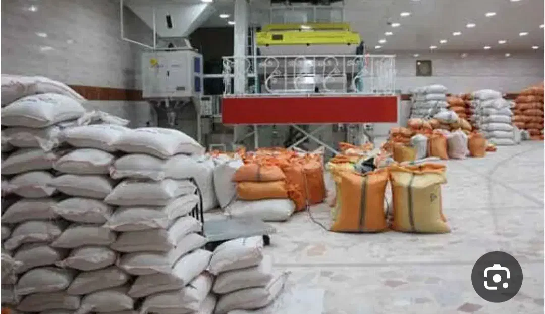 برنج هاشمی  طارم  صدری عنبربو  فجر  ندا  شیرودی|خوردنی و آشامیدنی|اردبیل, |دیوار