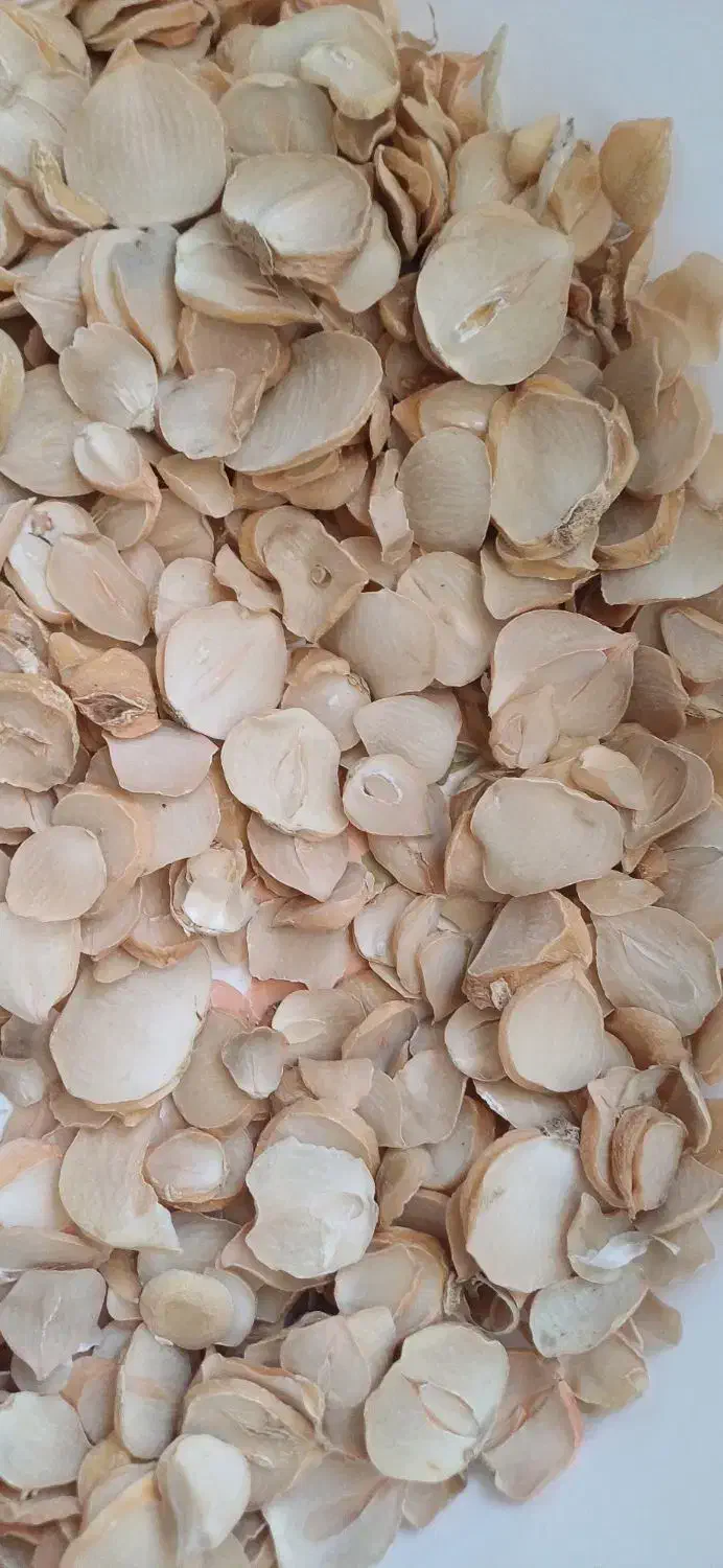 موسیر درجه یک و دو همدان|خوردنی و آشامیدنی|قم, باغ شریفی|دیوار