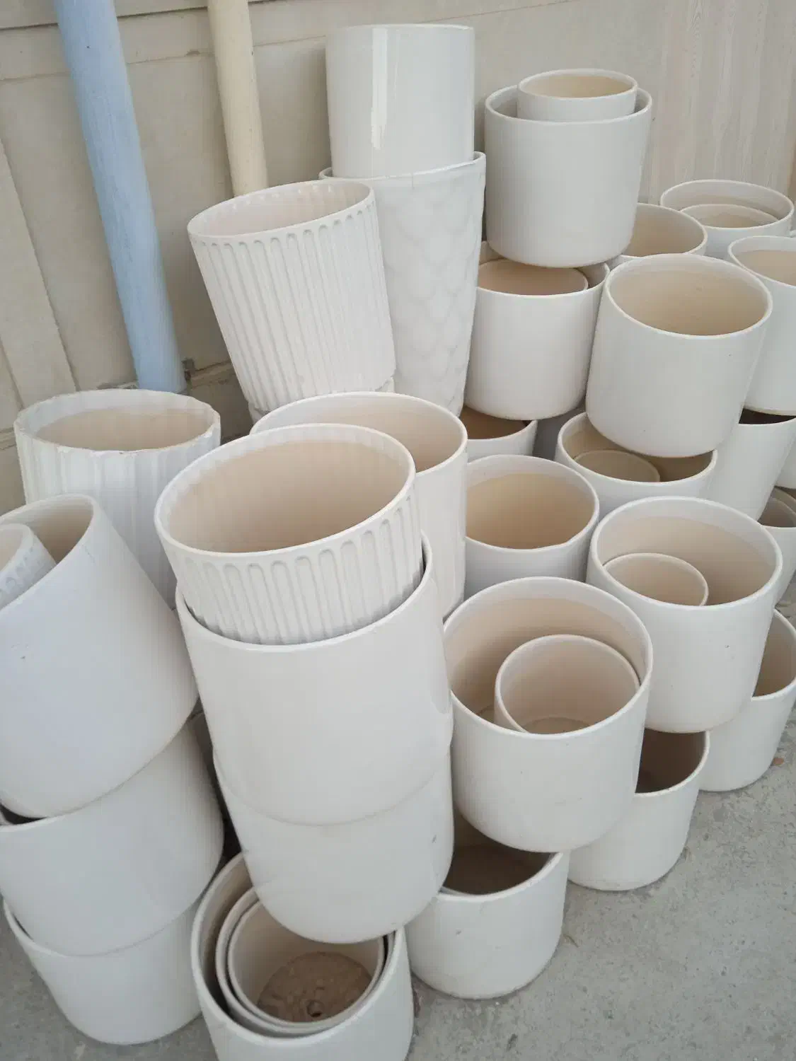 گل گول|حراج|بروجرد, |دیوار