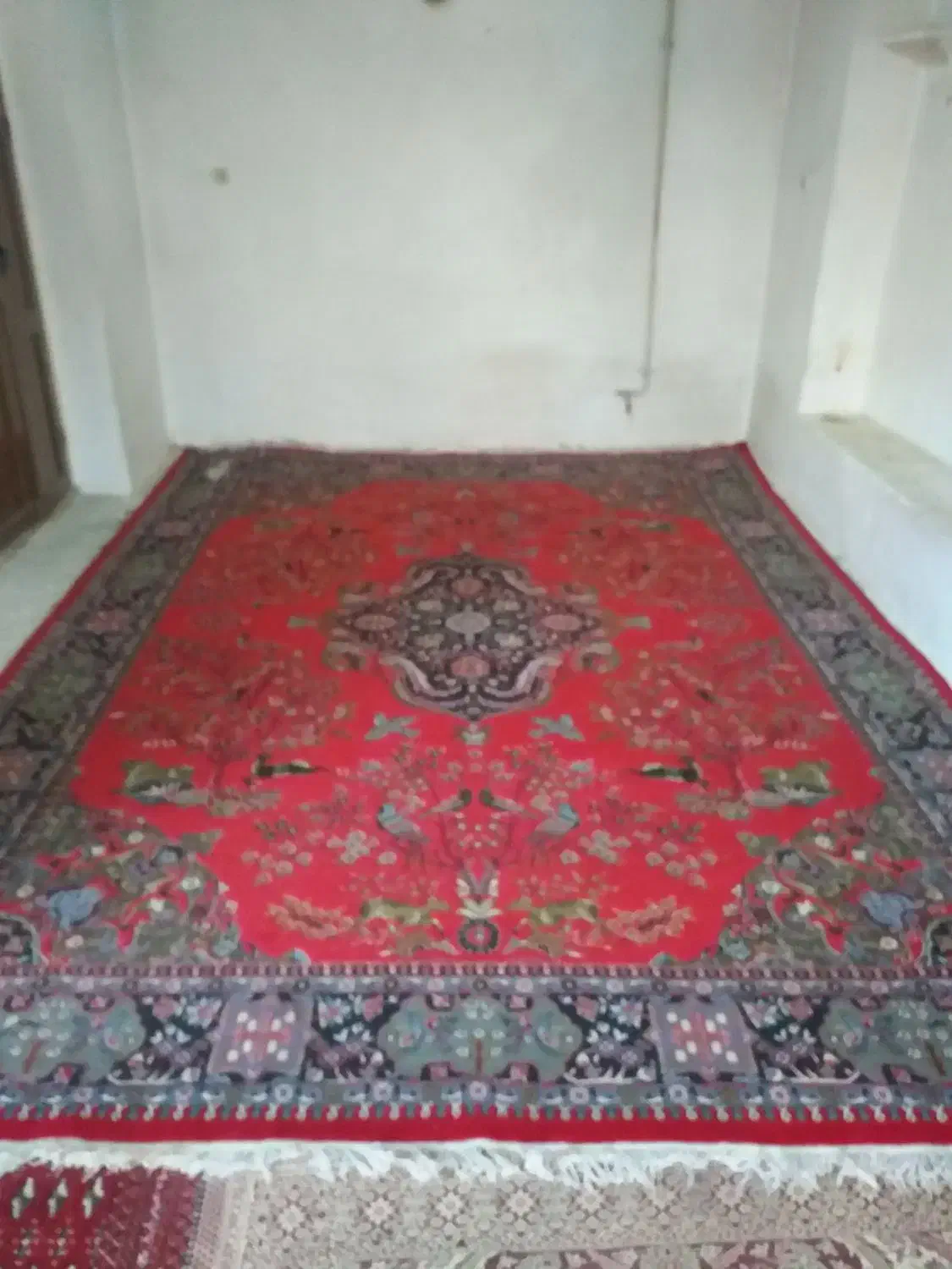 فرش فورشی نقد|فرش|نقده, |دیوار