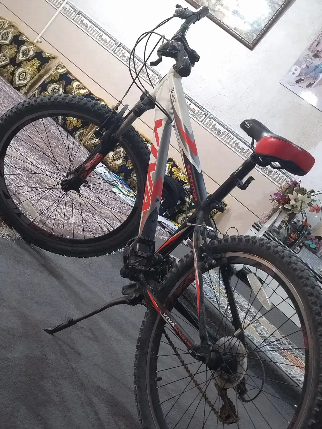 دوچرخه 26|دوچرخه، اسکیت، اسکوتر|برازجان, |دیوار