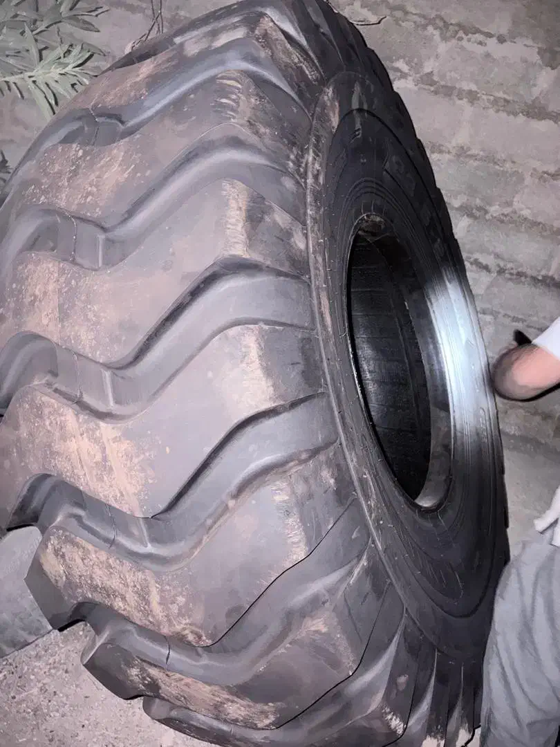 لاستیک لودر تایهائو‌|قطعات یدکی و لوازم جانبی|شیراز, رکن‌آباد|دیوار