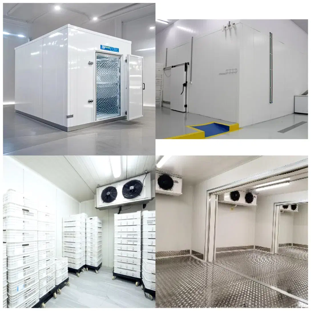 6446 فروش انواع 6446 سردخانه 6446|ماشینآلات صنعتی|بندرعباس, |دیوار