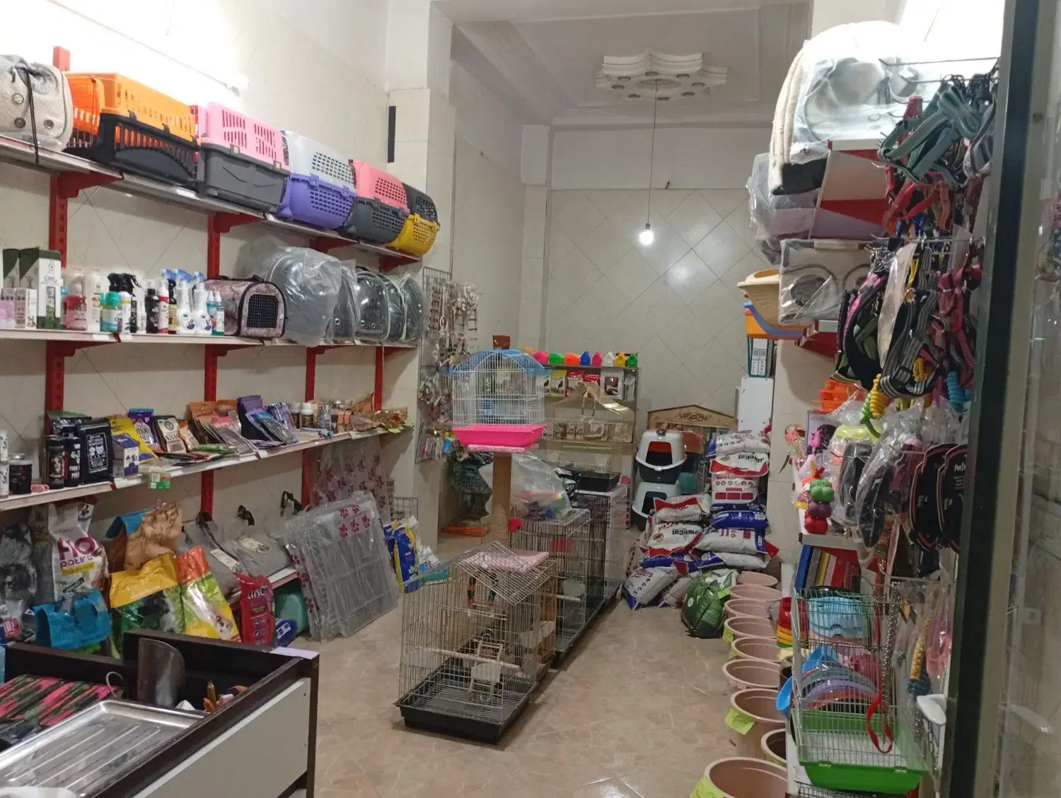 پت شاپ پنبه پیشوا بهترین کیفیت و قیمت|لوازم جانبی حیوانات|پیشوا, |دیوار