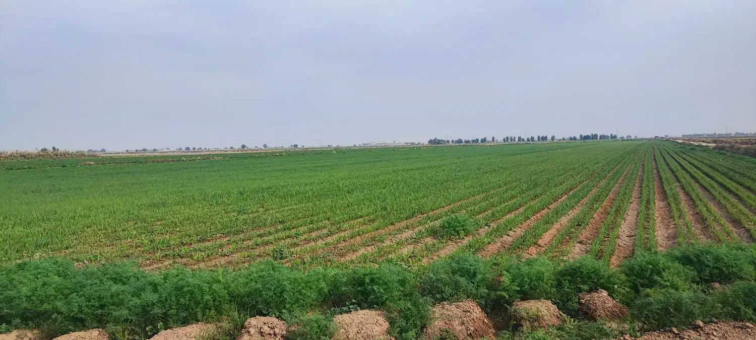 امتیاز وام|کارت هدیه و تخفیف|خرم‌آباد, |دیوار