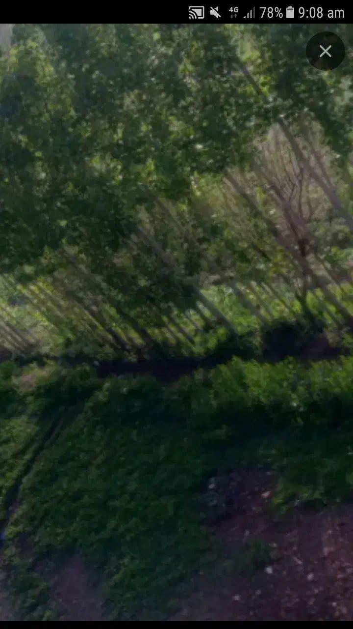 ۲ تن علوفه ۱ تن یونجه. و ۱ گیاه اماده داخل گونی|لوازم جانبی حیوانات|دیواندره, |دیوار