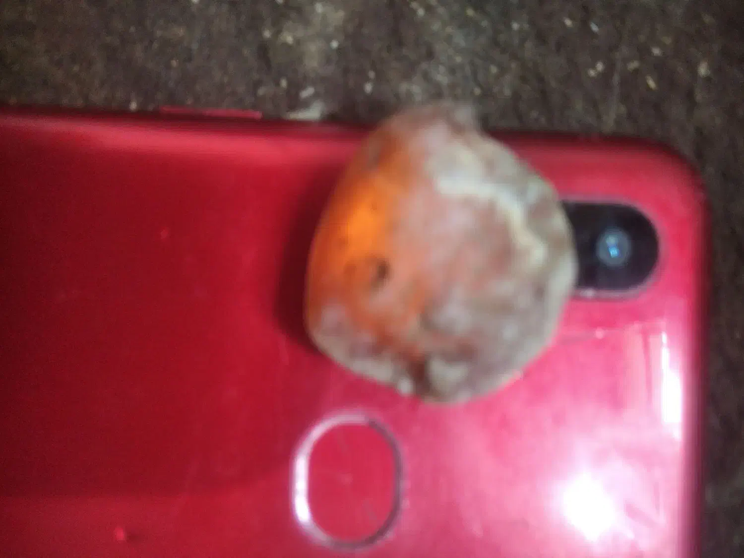 سنگ یاقوت قرمز|کلکسیون اشیاء عتیقه|شوشتر, |دیوار