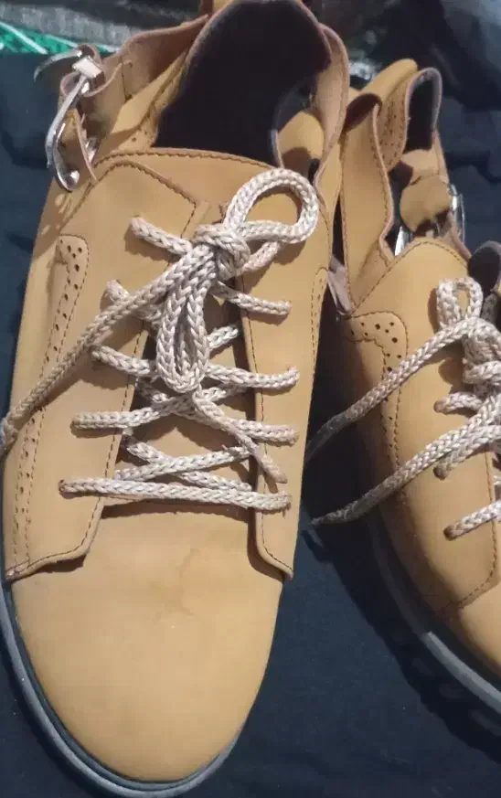 کفش|کیف، کفش، کمربند|بیرجند, |دیوار