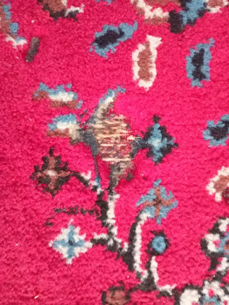 فرش|فرش|قزوین, |دیوار