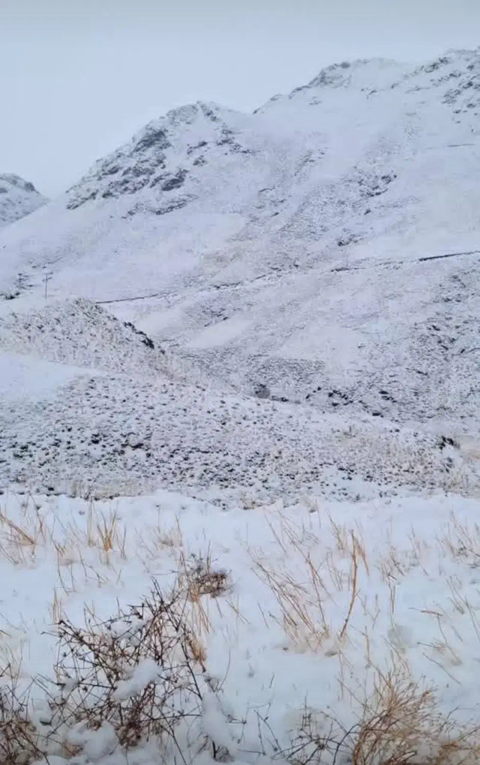 تبریز آناخاتون|سیم‌کارت|تبریز, |دیوار