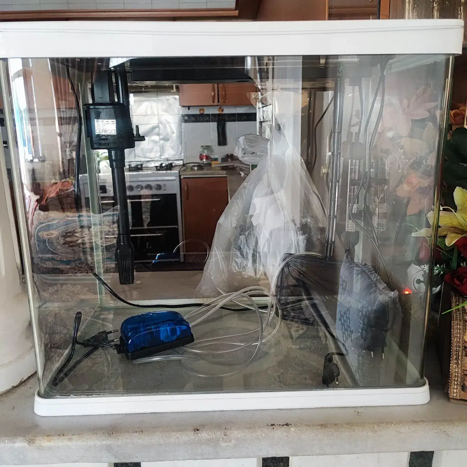 آکواریوم شرکتی دلسا|ماهی|اصفهان, برازنده|دیوار