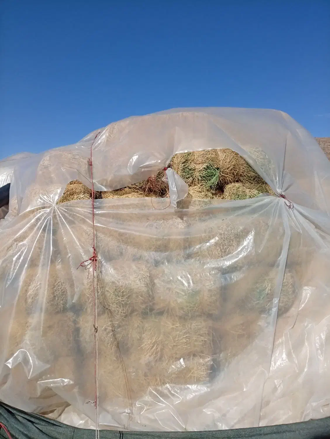 یونجه|لوازم جانبی حیوانات|بیرانوند, |دیوار