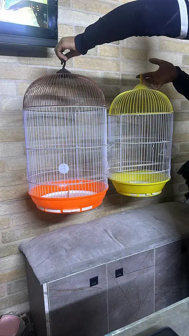 به تعدادی کارگر در انبار نیازمندیم|استخدام صنعتی، فنی، مهندسی|پاکدشت, پاکدشت (مامازند)|دیوار