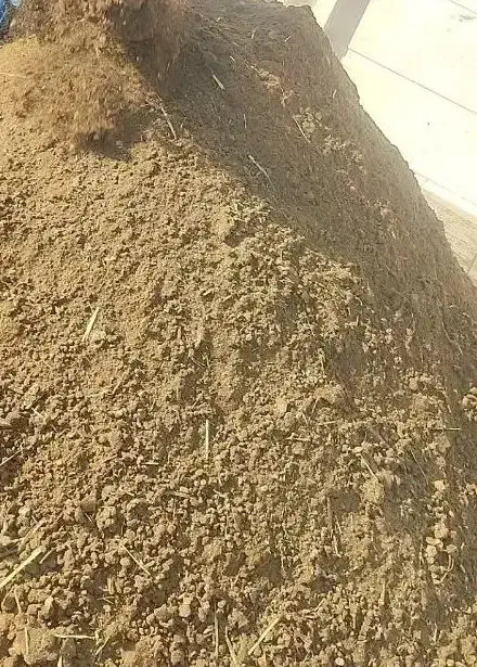 کود حیوانی پوسیده گونی 40کیلویی|گل و گیاه طبیعی|آبادان, |دیوار