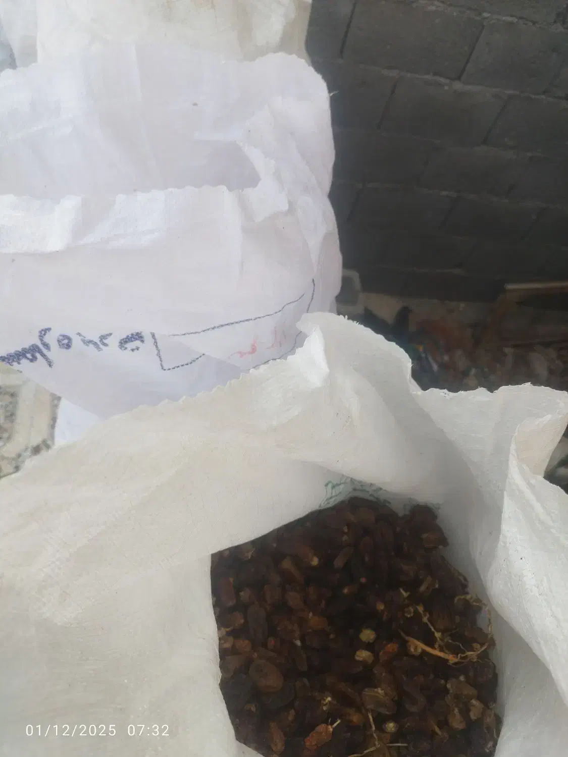 فروش خرما خشک (کرنگ،کنگا) مخصوص دام|لوازم جانبی حیوانات|اشکنان, |دیوار