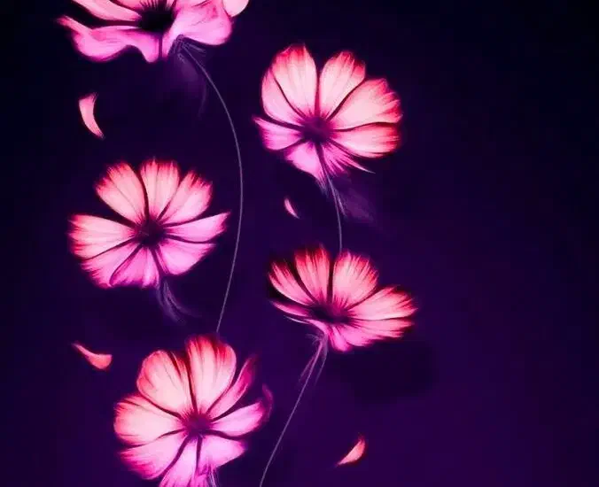 گمشده|اشیا|اقبالیه, |دیوار