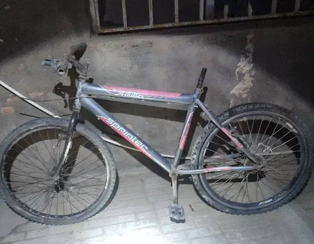 دوچرخه ۲۶|دوچرخه، اسکیت، اسکوتر|تربت جام, شهید غلام زاده|دیوار