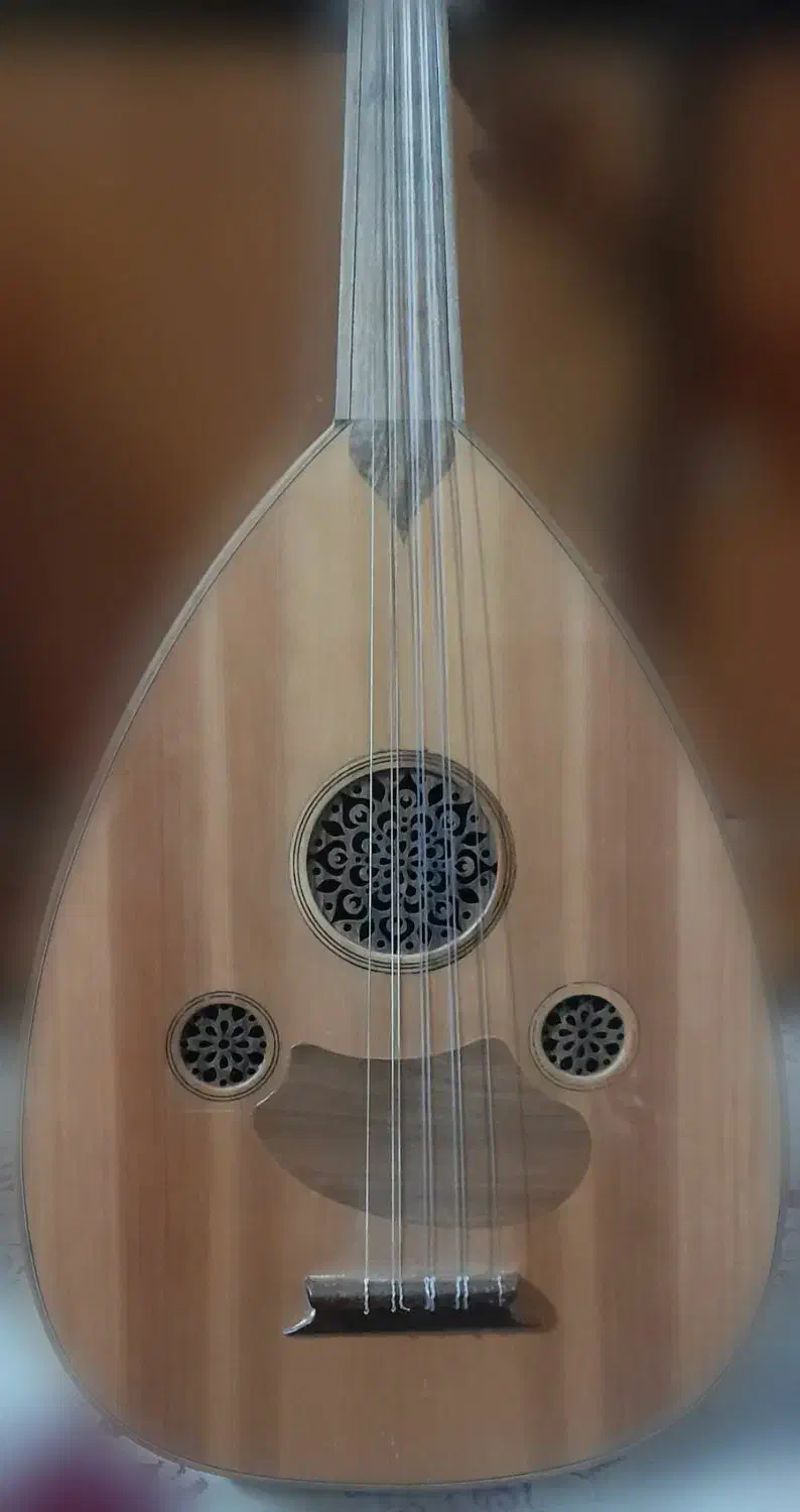 عود|سازهای سنتی|بندرعباس, |دیوار