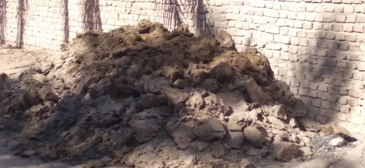 کودگاوی خالص محلی|خدمات باغبانی و درختکاری|بم, |دیوار