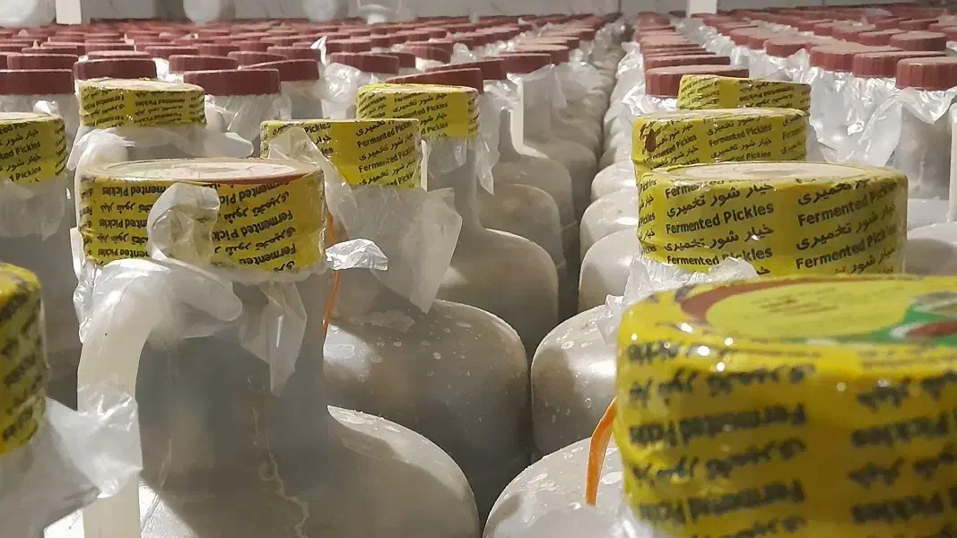 پخش خیارشور نول همدان|خوردنی و آشامیدنی|ملارد, |دیوار