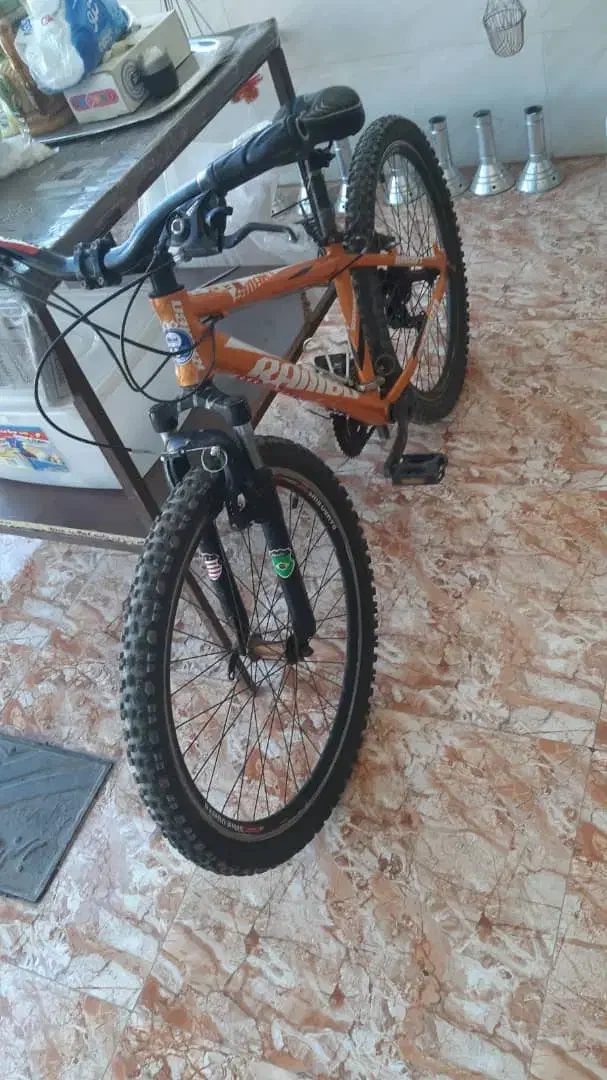 دوچرخه|دوچرخه، اسکیت، اسکوتر|قیدار, |دیوار