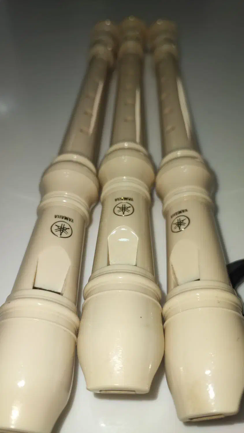 فلوت یاماها|سازهای بادی|شیراز, فرهنگ شهر|دیوار