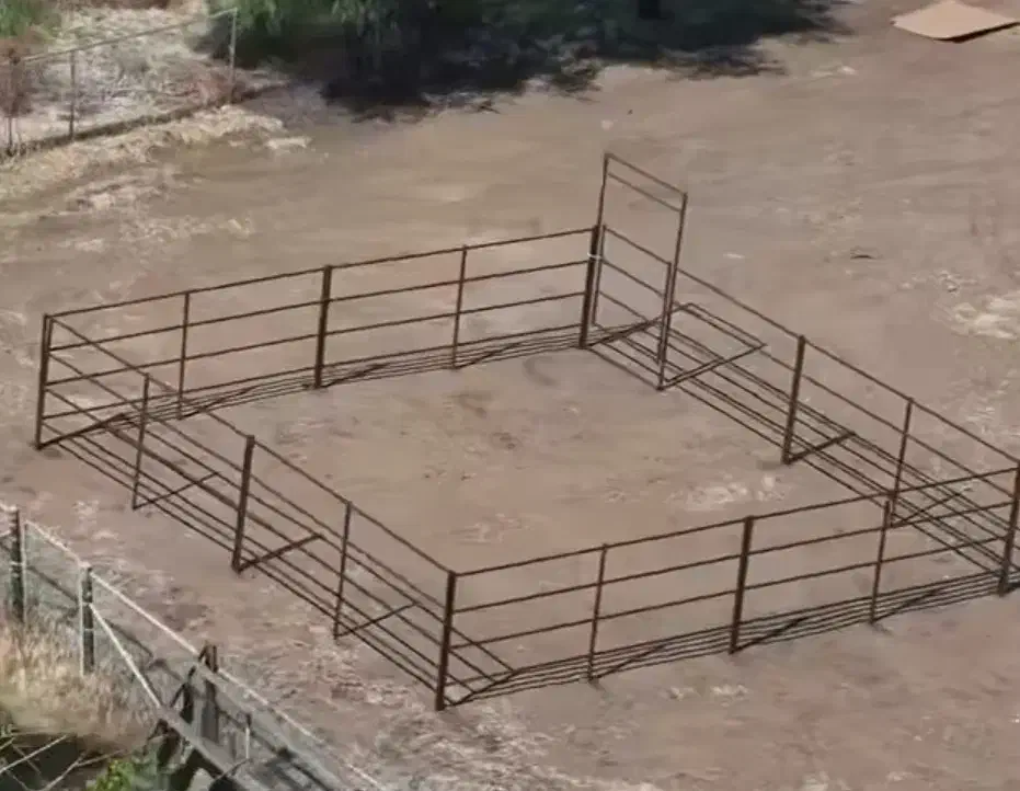 باکس سیار اسب|اسب و تجهیزات اسبسواری|تهران, آشتیانی|دیوار