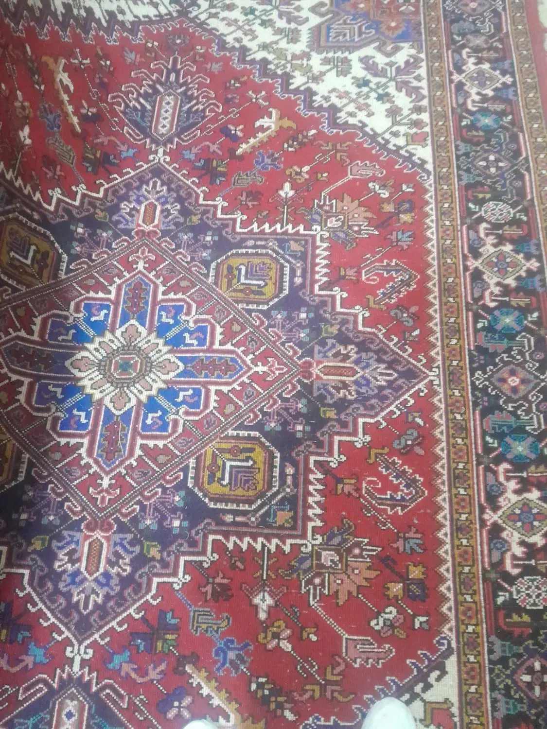 فروش فوری یک جفت فرش دستبافت ۶متری هریس|فرش|اهر, |دیوار