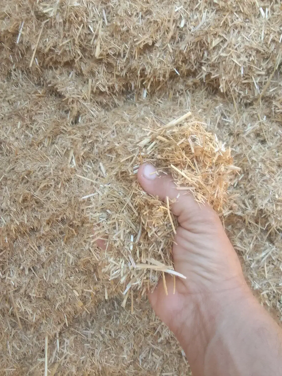 فروش کاه|لوازم جانبی حیوانات|امیدیه, |دیوار