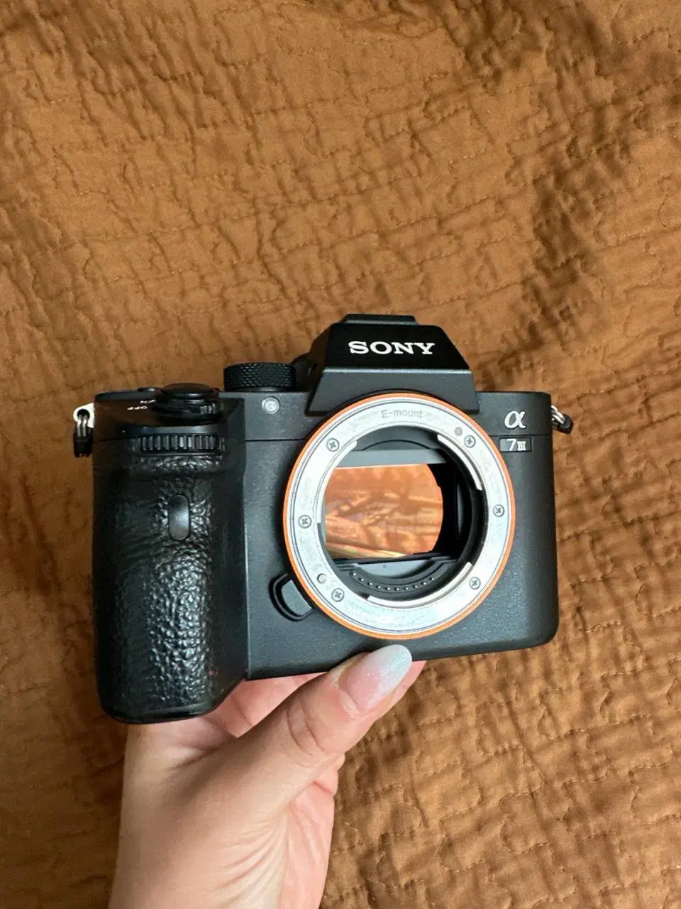 sony 7 iii|دوربین عکاسی و فیلم‌برداری|تهران, پامنار|دیوار
