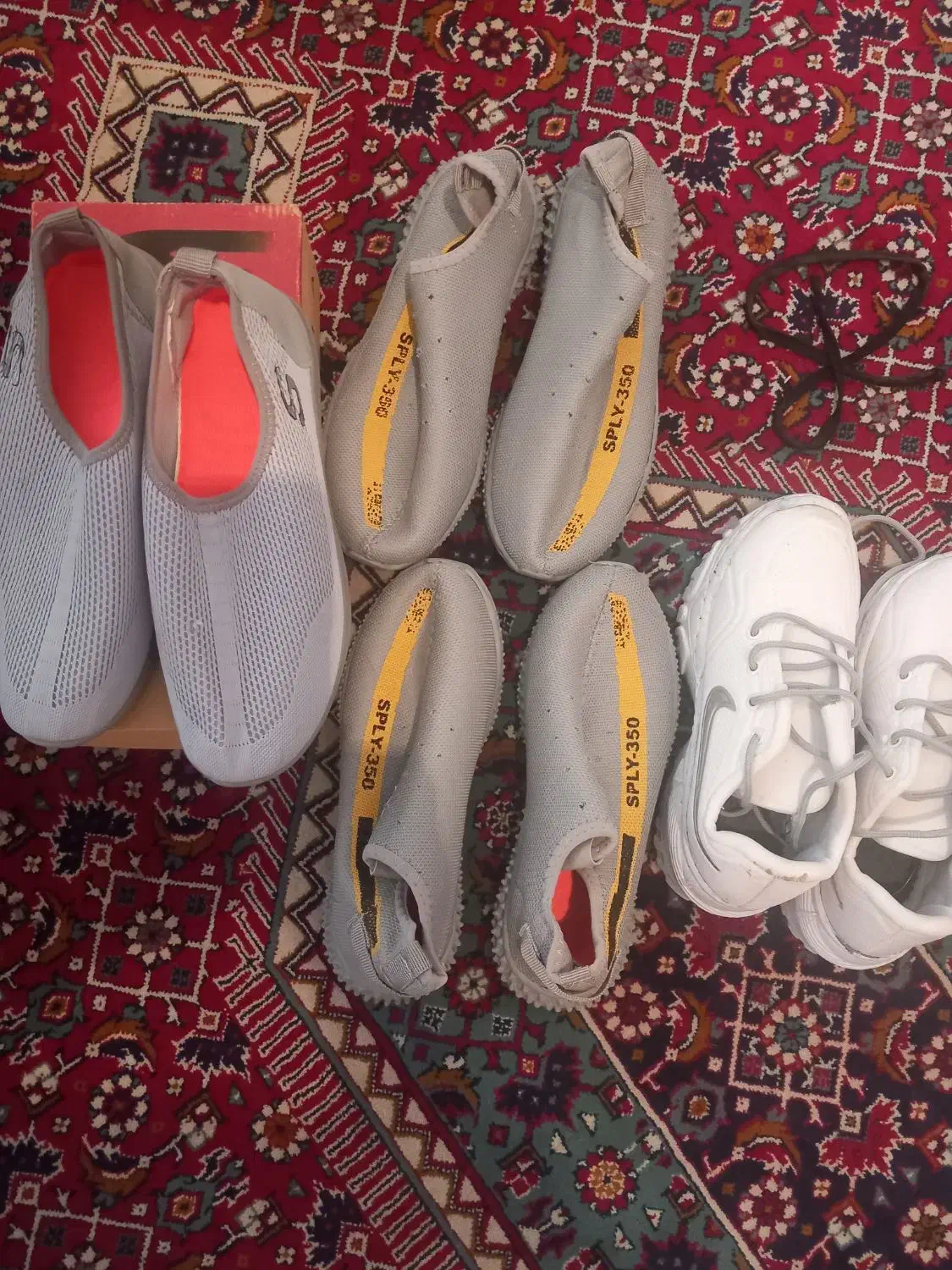 کتونی|کیف، کفش، کمربند|رشت, دیلمان|دیوار