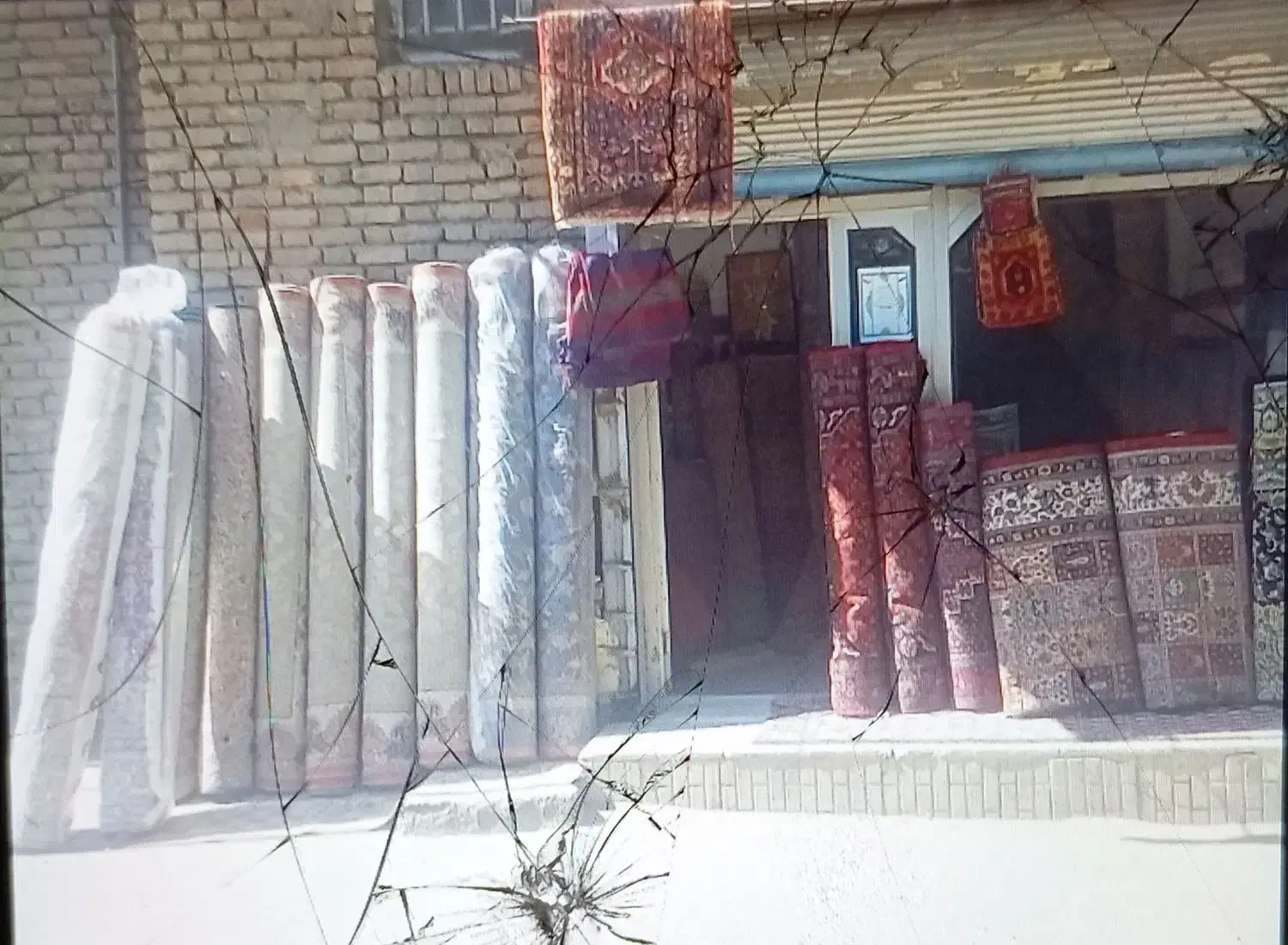 خریدوفروش فرشهای دستباف و ماشینی|فرش|کنگاور, |دیوار