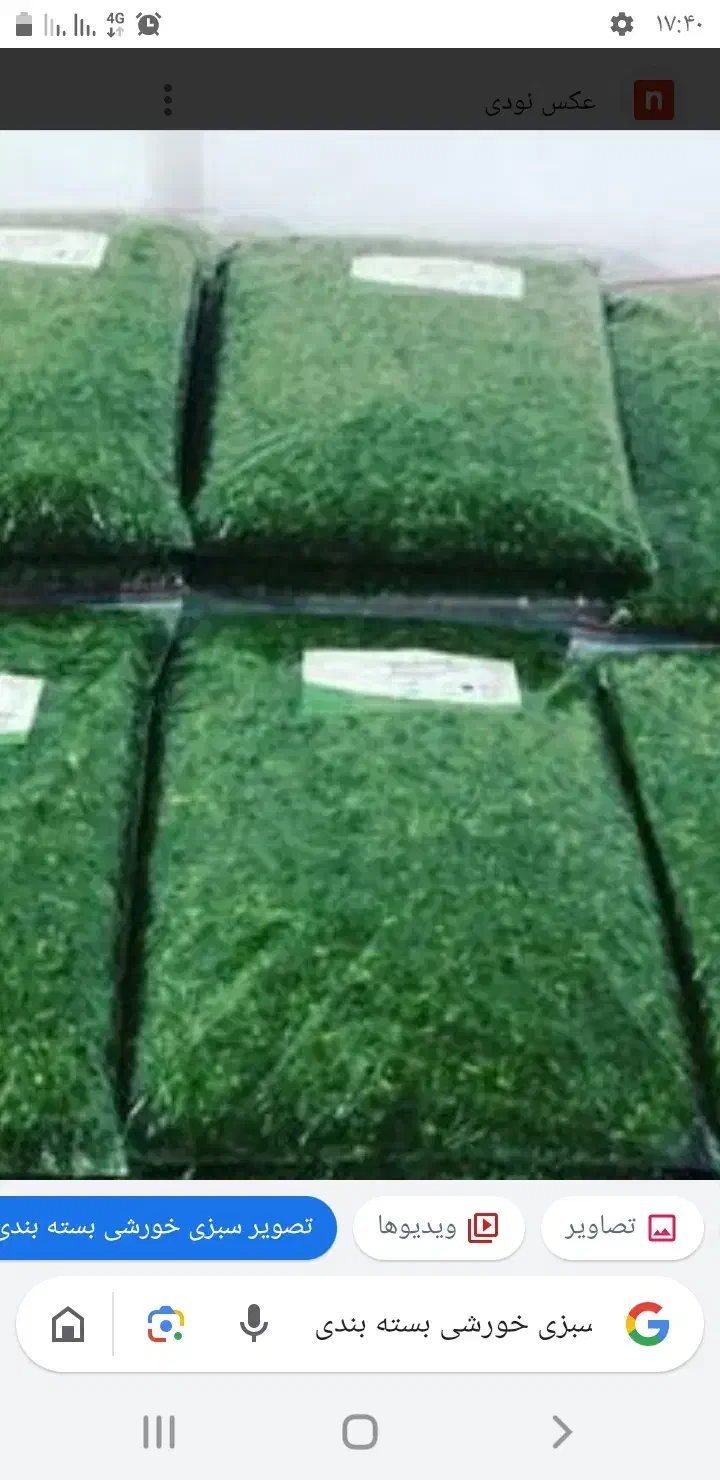 فروش سبزی خورشی و خوردن بسته بندی|خوردنی و آشامیدنی|کرمان, |دیوار