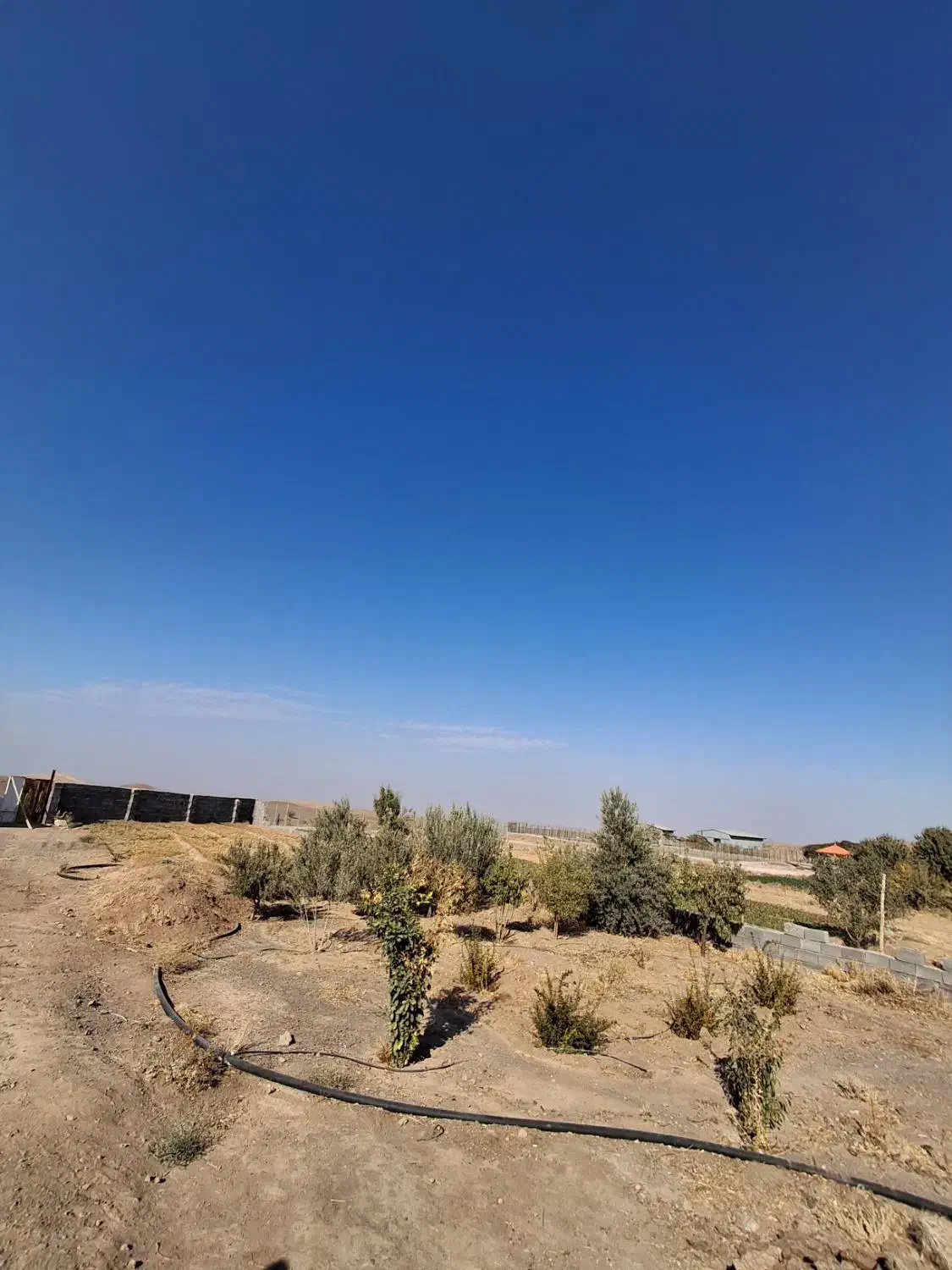 فروش زمین کشاورزی و دامداری  فروش زمین و باغ|فروش زمین و ملک کلنگی|مهاباد (اصفهان), |دیوار