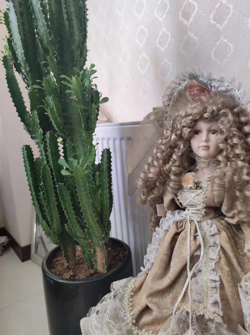 عروسک سرامیکی وارداتی کاملا سالم و نو و زیبا|اسباب‌‌بازی|تهران, پونک|دیوار