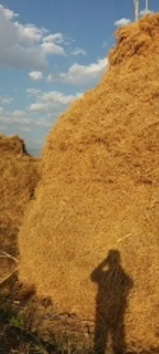 علف|لوازم جانبی حیوانات|میانه, |دیوار