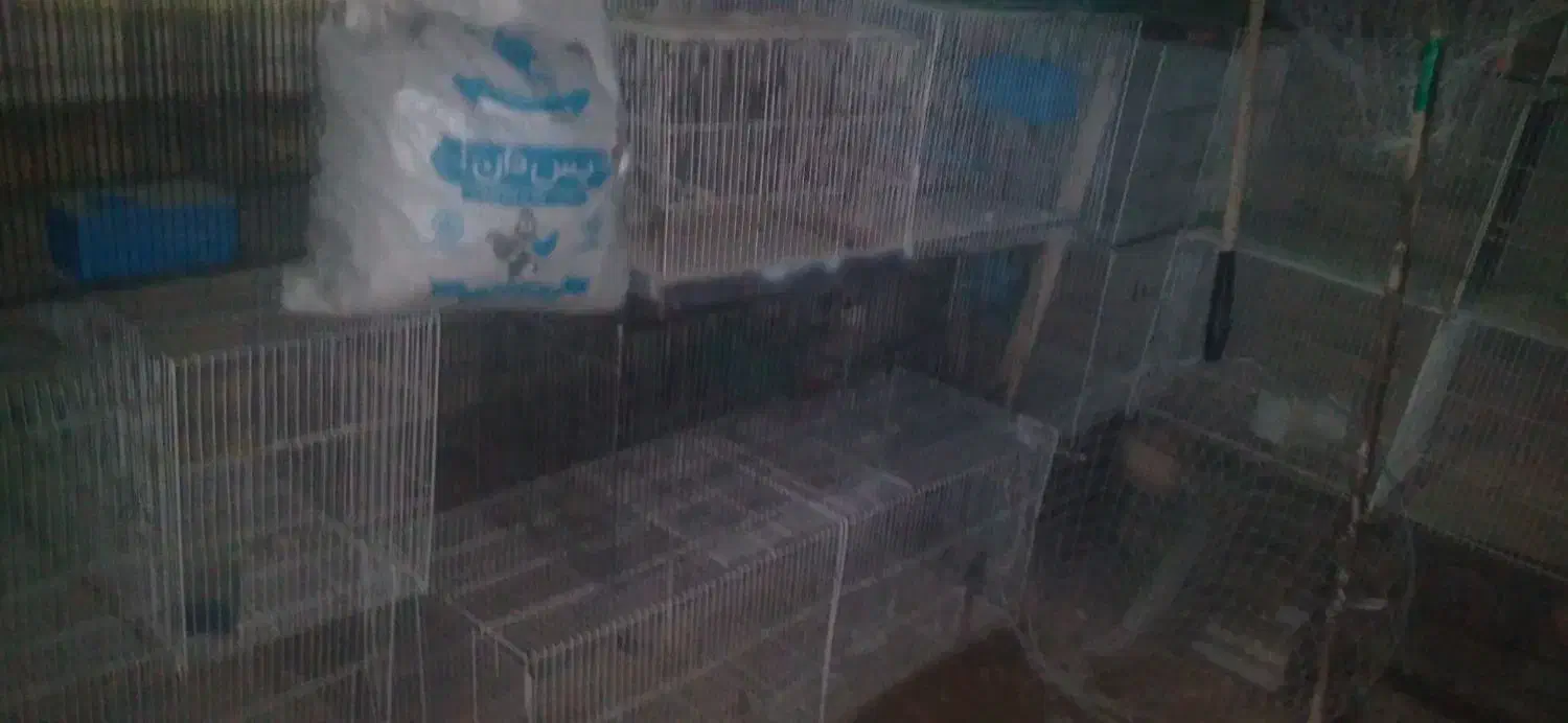 قفس|لوازم جانبی حیوانات|شیروان (خراسان), |دیوار