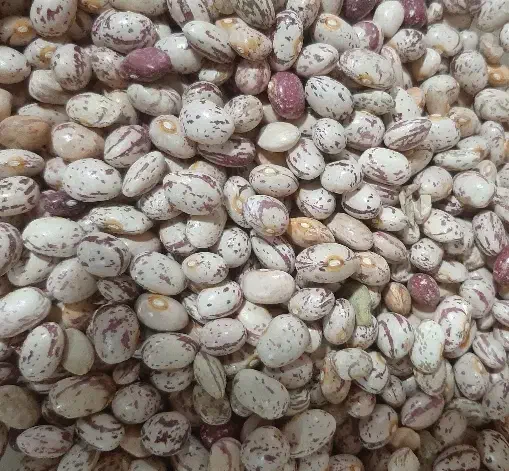 لوبیا چیتی تمیز بوجاری شده|خوردنی و آشامیدنی|تهران, افسریه جنوبی|دیوار