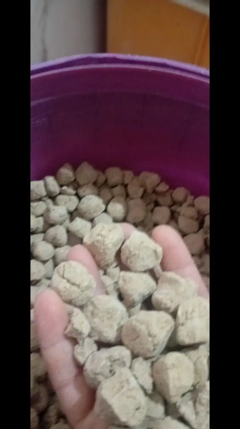 کلگ|حراج|یاسوج, |دیوار