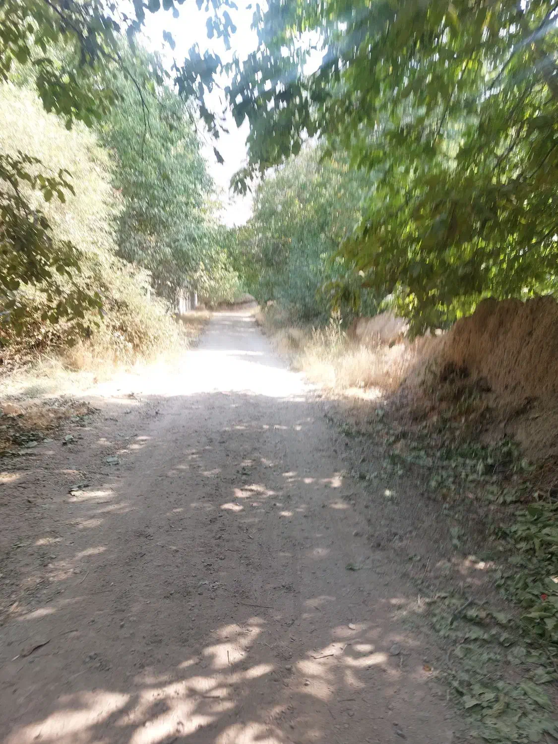 ۸۰۰متر باغ روستای اب انار|فروش خانه و ویلا|سیدان, |دیوار