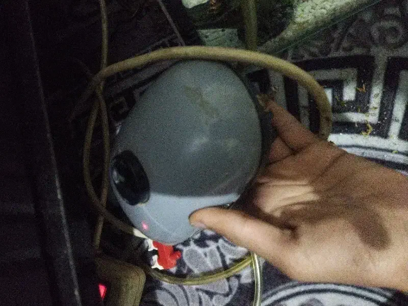 آکواریوم بزرگ شیشه خم شرکتی|ماهی|پاکدشت, پاکدشت (مامازند)|دیوار