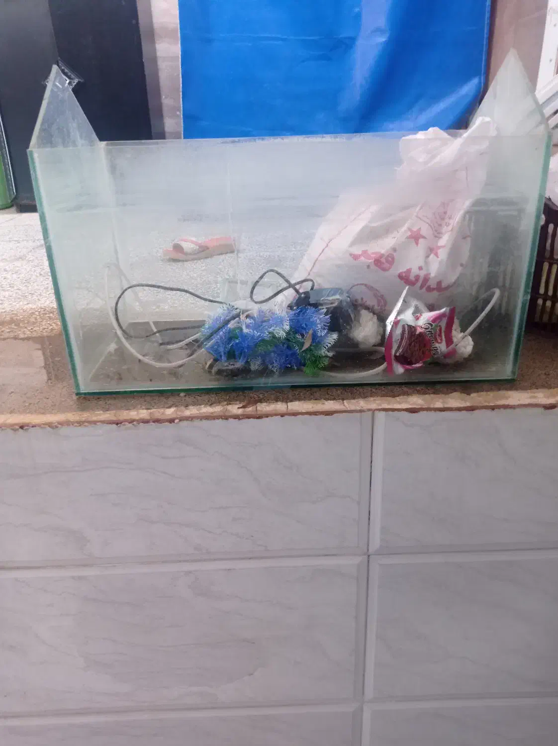 آکواریوم|ماهی|قائن, |دیوار